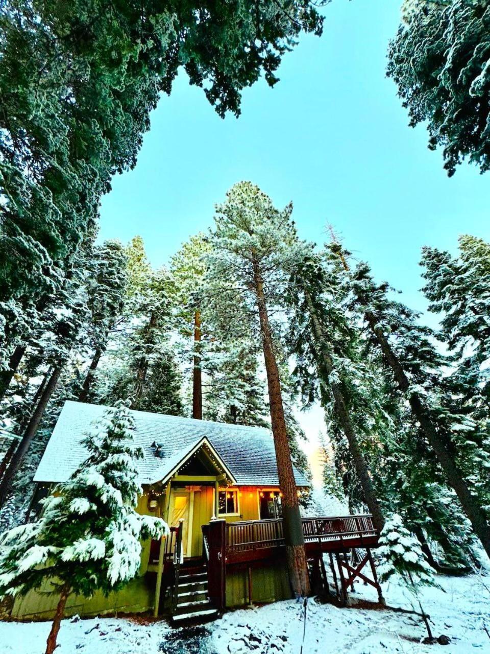 The Honey Bear Cabin Carnelian Bay Εξωτερικό φωτογραφία