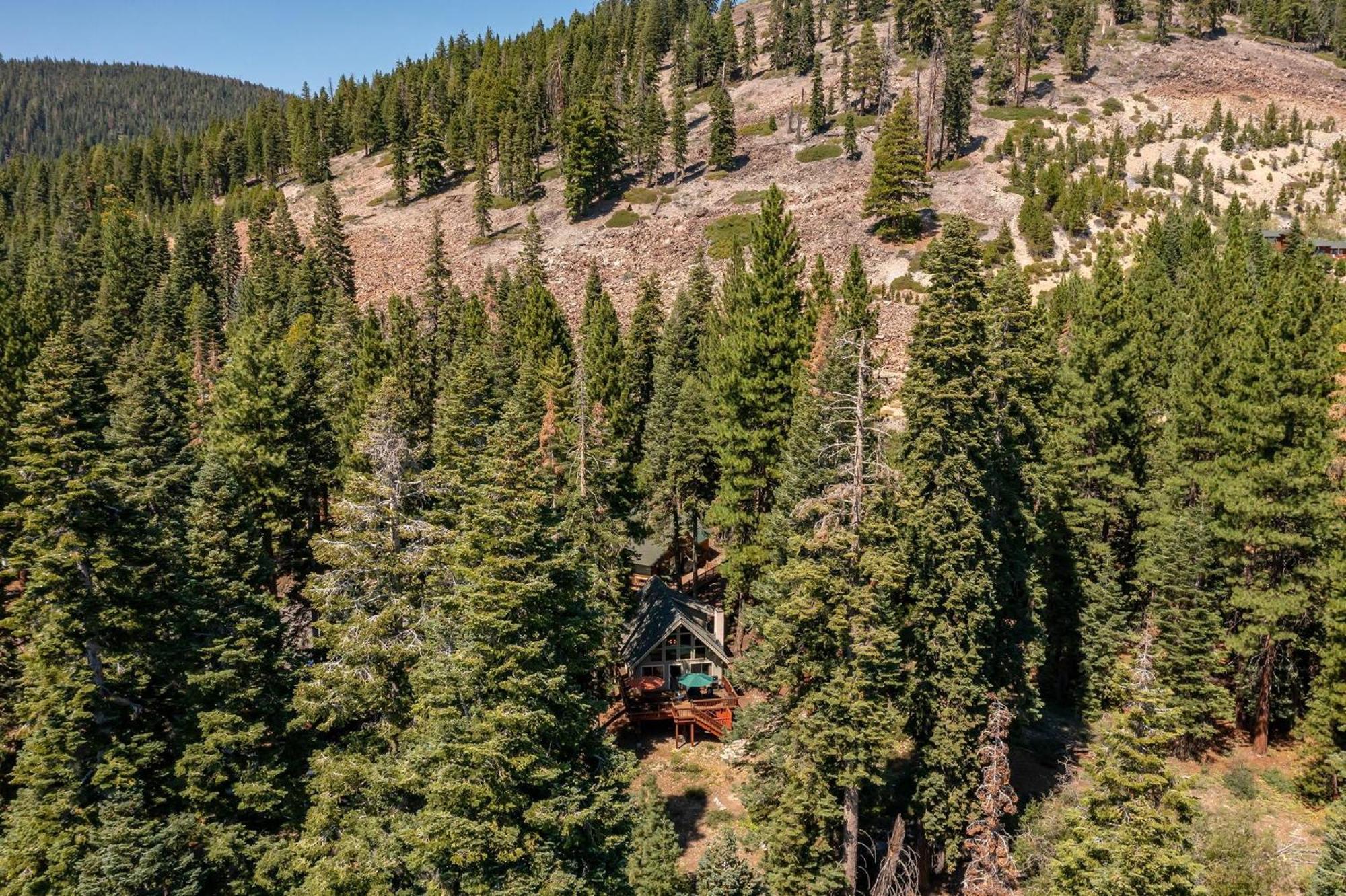 The Honey Bear Cabin Carnelian Bay Εξωτερικό φωτογραφία